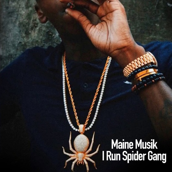 Cover artwork for I Run Spider Gang