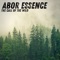 Aero-Soul - Abor Essence lyrics