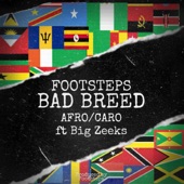 Bad Breed (Afro/Caro) [feat. Big Zeeks] artwork