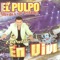 La Cumbia del Sapito (En Vivo) - El Pulpo Alfredo Y Sus Teclados lyrics