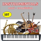 Instrumentals Maxi-Compilation 107 artwork