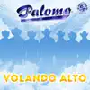 Volando Alto album lyrics, reviews, download
