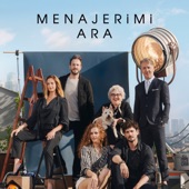 Menajerimi Ara, Vol.1 (Orijinal Dizi Müzikleri) artwork