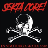 Fuerza Skatex 2020 (En Vivo) - EP artwork