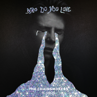 The Chainsmokers & 5 Seconds of Summer - Who Do You Love artwork