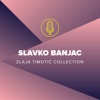 Slavko Banjac (Zlaja Timotić Collection)