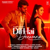 Dil Hai Deewana artwork