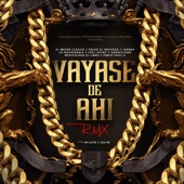 Vayase de Ahí [With Juanka, Ceky Viciny, Pacho el Antifeka, la Insuperable, Haraca Kiko, Musicologo The Libro & Pablo Chill - E] [Remix] artwork