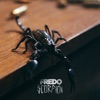 Scorpion - Single