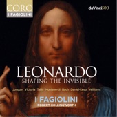 Leonardo: Shaping the Invisible artwork