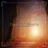 Twilight Hours - Single album lyrics, reviews, download
