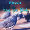 Hear the Birds - Single album lyrics, reviews, download