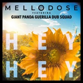 Hey Hey (feat. Giant Panda Guerilla Dub Squad) artwork