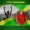 Sonia Levy - And I Worship Ft Kevin Smith