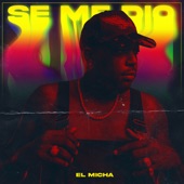 Se Me Dio artwork