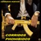 Los Pasajes Del Phoenix - Corridos Phohibidos lyrics