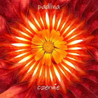 ladda ner album Czerwie - Padlina