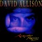 Japanese Garden - David Allison lyrics
