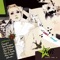 Too Much - Dan Caster & Sebastian Phillip lyrics