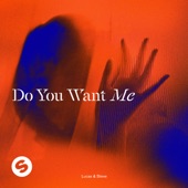 Do You Want Me (Extended Mix) artwork