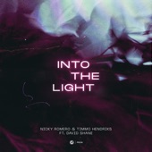 Into the Light (feat. David Shane) [Extended Mix] artwork