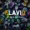 Flavio - MaluMusic lyrics