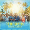 Tú Me Gustas by Chico Malo iTunes Track 1