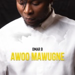 Omar B - Awoo mawugné