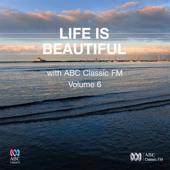 Life Is Beautiful Vol. 6 artwork