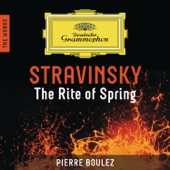 Stravinsky: The Rite of Spring artwork