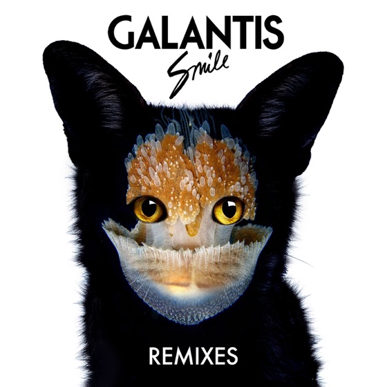 Cover artwork for Smile (Dem Slackers Remix) [Radio Mix]