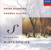 Schubert: Winterreise artwork