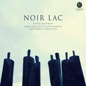 Noir Lac (feat. David Neerman, Catherine Simonpietri, Krystle Warren & Lansine Kouyate) artwork