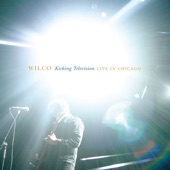 Wilco - Shot In the Arm (Live)