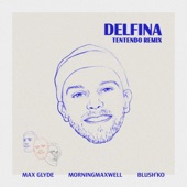 Delfina (Tentendo Remix) [feat. Blush'ko] artwork