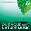 One Hour Of Nature Music: For Massage, Yoga And Relaxation - David Arkenstone