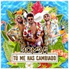 Tú Me Has Cambiado by Bombai iTunes Track 1