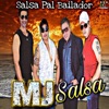 Salsa Pal Bailador