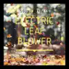 Electric Leaf Blower Sound Effects - Single album lyrics, reviews, download