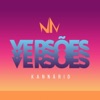 Igor Kannario - Metendo de Louco (Versões)