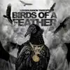 Birds of a Feather - Single album lyrics, reviews, download