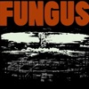 Fongus - Woke Up Screamin'