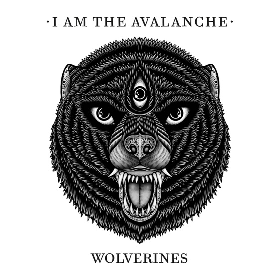 Cover artwork for Wolverines