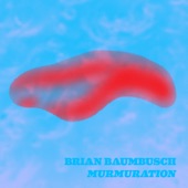 Brian Baumbusch - Isotropes, Pt. 3: Murmuration