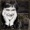 Susan BOYLE - I Dreamed A Dream (Britain's Got Talent) (P) 2009