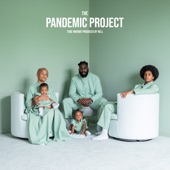 The Pandemic Project artwork