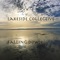 Falling Down - Lakeside Collective lyrics