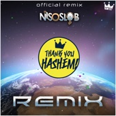 Thank You Hashem (DJ Niso Slob Official Remix) artwork