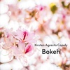 Bokeh - Single