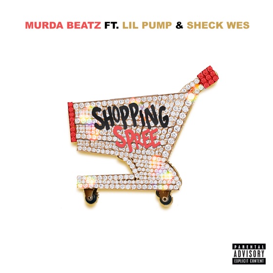 Cover artwork for Shopping Spree (feat. Lil Pump & Sheck Wes)